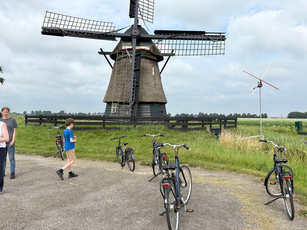 Cycling in the Netherlands – key differences (in my personal experience)